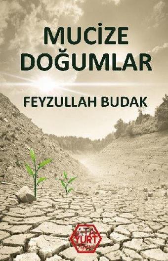 Mucize Doğumlar - Feyzullah Budak - Atayurt Yayınevi