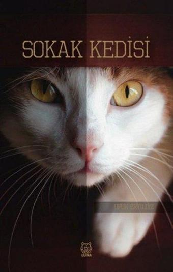 Sokak Kedisi - Luna Yayınları