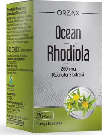 Ocean Rhodiola 30 Kapsül