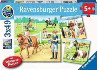 Ravensburger 3x49 Parça Puzzle Ahırda Bir Gün 51298