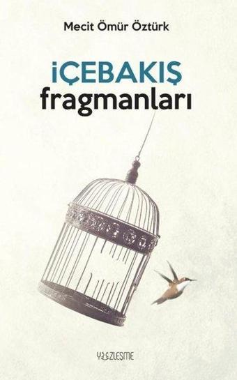 İçebakış Fragmanları - Mecit Ömür Öztürk - Yüzleşme