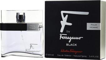 Salvatore Ferragamo F Black Pour Homme EDT 100 ml