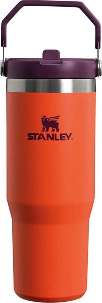 STANLEY 10-09993-314 30OZ ICEFLOW FLIP STRAW TUMBLER TIGERLILY TERMOS 0,89LT