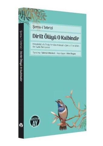 Dirilt Ölüyü O Kalbindir - Şems-i Tebrizi - Büyüyenay Yayınları