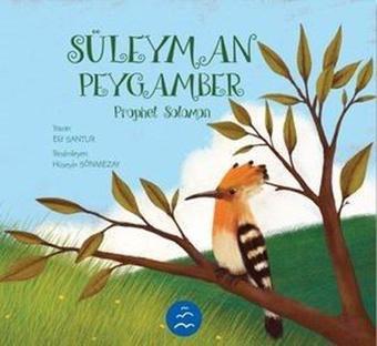 Süleyman Peygamber - Prophet Solomon - Elif Santur - Multibem Yayınları