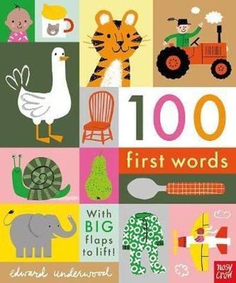 100 First Words: With BIG flaps to lift! - Edward Underwood - NOSY CROW