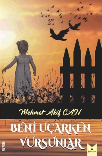 Beni Uçarken Vursunlar - Mehmet Akif Can - Serencam Yayınevi