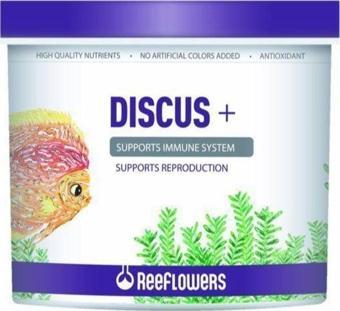 Reeflowers Discus + 100 gr Kovadan Bölme