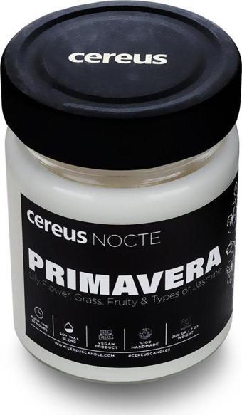 Cereus Nocte Primavera Japon Kiraz Çiçeği Kokulu Soya Mum (210 Gr)