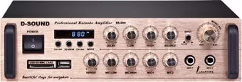 D-sound Pa-200 Mixer Amplifier