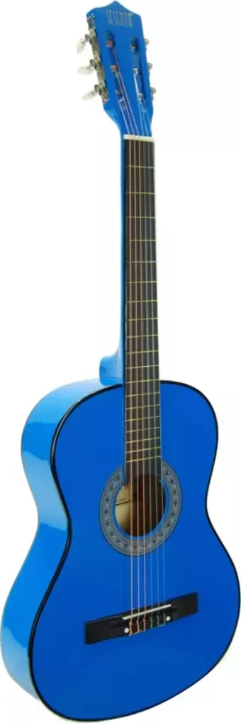 Klasik Gitar Öğrenci Mavi Sesenta Ssc38bl