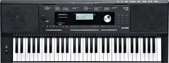 Kurzweil Kp100 Org