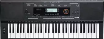 Kurzweil Kp110 Org