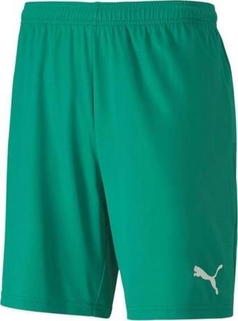 Puma 704262 Teamgoal 23 Knit Shorts Yeşil