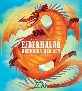 Ejderhalar Hakkında Her Şey - Federica Magrin - Bambu Kitap