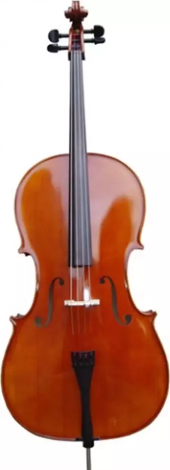 Picaldi 1/4 Cg106 Çello