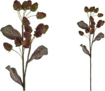 Lamedore Dut Çiçeği Yeşil Pembe 90 Cm