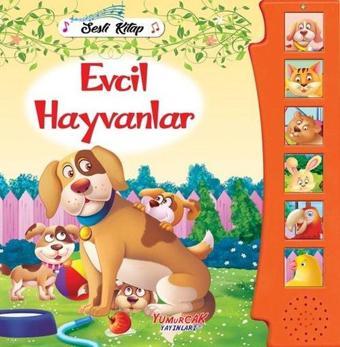 Evcil Hayvanlar - Sesli Kitap - Kolektif  - Yumurcak Yayınları