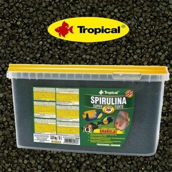 Tropical Spirulina Super Forte Granulat 100gr 