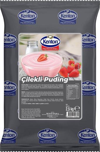 Kenton Profesyonel Puding Çilekli 2.5 Kg