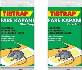 Tiptrap Tibtrap Zehirsiz Yapışkan Yüzeyli Kullanıma Hazır Fare Kapanı 1 Karton