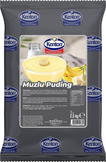 Kenton Profesyonel Puding Muzlu 2.5 Kg