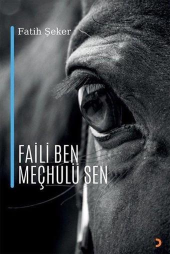 Faili Ben Meçhulü Sen - Fatih Şeker - Cinius Yayınevi