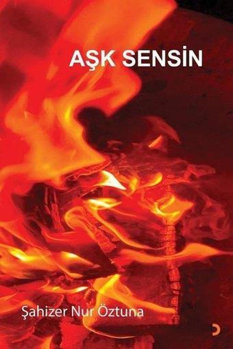 Aşk Sensin - Cinius Yayınevi