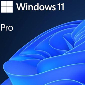 MS WINDOWS 11 PRO 64Bit İNGİLİZCE OEM FQC-10528