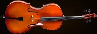 Valencıa Ce400g44 Cello Kılıflı+yay+re.e, 4/4 Scale, German Sistem