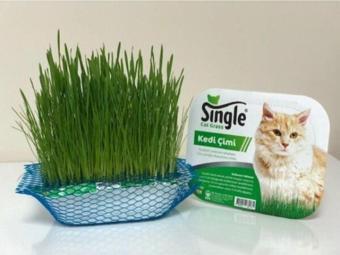 Bio PetActive Single Natural Kedi Çimi