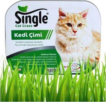 Single Natural Kedi Çimi