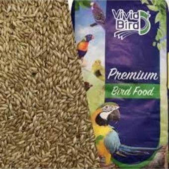 Vivid Bird Aspur (SADE KANARYA YEMİ) - 500gr