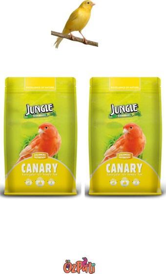 Jungle Kanarya Yemi 400 Gram X 2 Pk