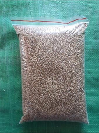 Vitasand Kanarya Kuş Yemi Sade Aspur 1 Kg