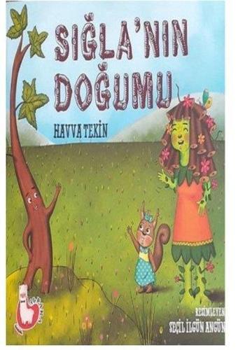 Sığlanın Doğumu - Havva Tekin - Alpaka Yayınları