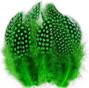 100 PCS DECOR GREEN BIRD FEATHER 100 ADET PUANTİYELİ YEŞİL SİYAH KUŞ TÜYÜ DEKOR YEŞİL KUŞ TÜYÜ