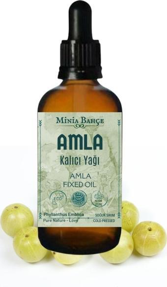 Amla Sabit Yağı, %100 Saf, 30 Ml