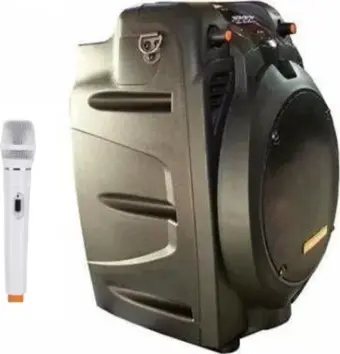 D-sound Pa-060  100w Şarjlı Hoparlör