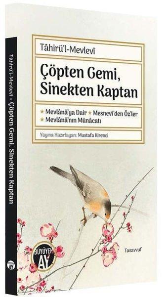 Çöpten Gemi Sinekten Kaptan - Tahirü'l Mevlevi  - Büyüyenay Yayınları