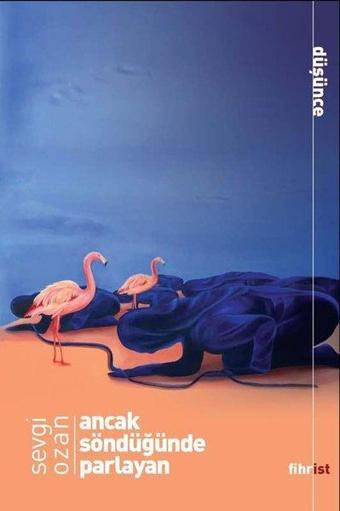 Ancak Söndüğünde Parlayan - Fihrist