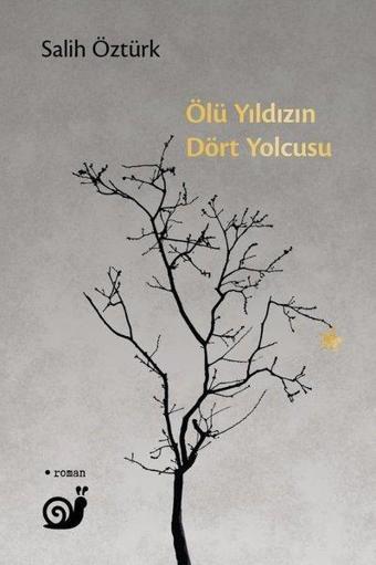 Ölü Yıldızın Dört Yolcusu - Salih Öztürk - Sakin Kitap