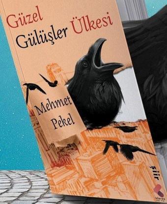Güzel Gülüşler Ülkesi - Mehmet Pekel - Klaros Yayınları