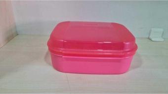 Tupperware F20 Mini Saklama Kabı Pembe