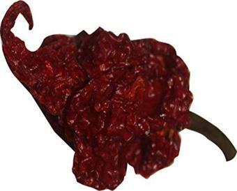 tohumcu kikizade +3 Adet Carolina Reaper Biberi Kurutulmuş Bire Bir Orginal Ürün