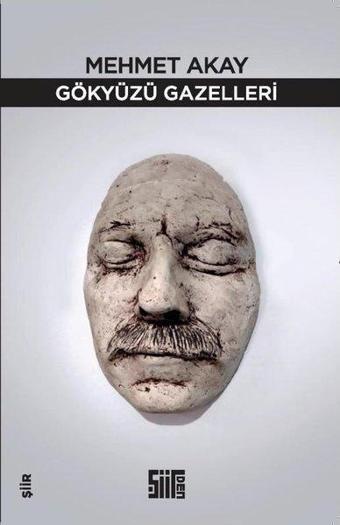 Gökyüzü Gazelleri - Şiirden Yayınları