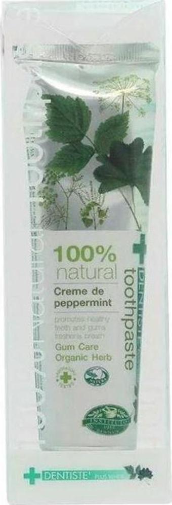 Dentiste Natural 100% Toothpaste 100g 