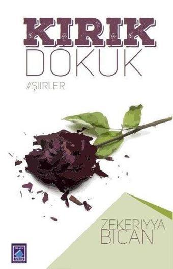 Kırık Dökük - Şiirler - Göl Kitap