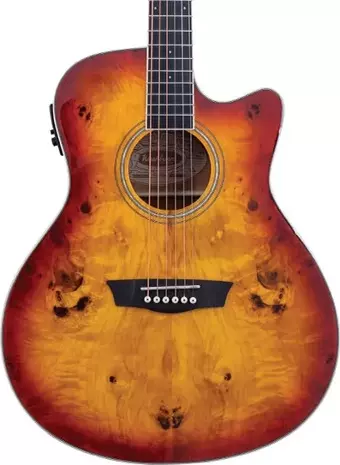 Washburn Deep Forest Burl Ace Amber Fade Elektro Akustik Gitar