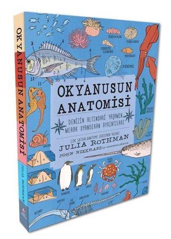 Okyanusun Anatomisi - Denizin Altındaki Yaşamın Merak Uyandıran Ayrıntıları - Julia Rothman - Odtü